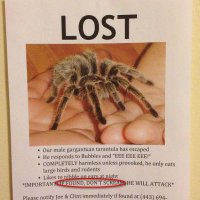 Фотоподборка за 13.02.2014