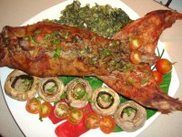 20 самых милых кроликов на свете