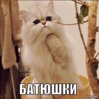 кошмар!
