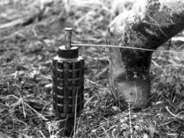 Это грустная история