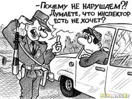 Смешные картинки