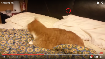 всё видео пытался стереть фигню с экрана