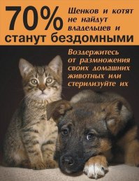 Две большие разницы: животные до и после того, как их приютили