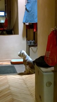 Я скучаю по тебе каждую минуту