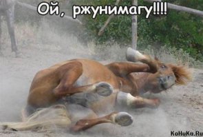 В России создали "таракана-разведчика"