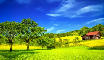 Лето все же лучше)