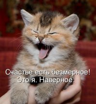 Собаки - улыбаки