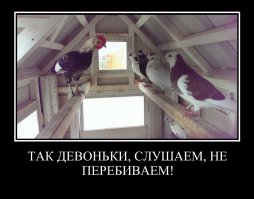 Демотиваторы