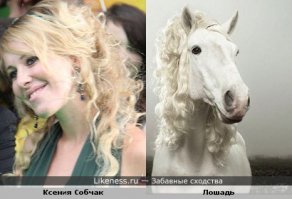 Поразительное Сходство :)