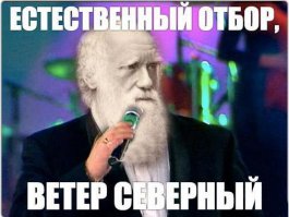 Полицейский застрелил подростка, который хотел приобрести наркотики по поддельным документам А 