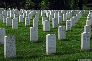 Рукожопство это хорошо.
Но может тут мне кто обьяснит нафига мертвецов забором огараживать? чтоб они не вылезли или чтоб к ним не торопились?
по мне так идеальное кладбиже выглядит так.