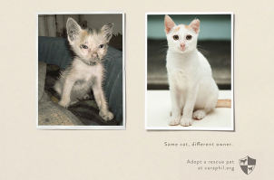 Одно и то же животное. . Разные хозяева...