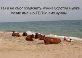 Счастливый его хозяин. 
Сейчас , наверное, во дворце живет, с телкой и новым корытом.  :)