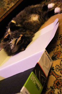 Видимо, у меня не совсем правильная кошка. Спит в своей лежанке (правда лежанка размером как для мелких собак). Правда, если появляется в доме коробка, тут любая кошка не устоит.