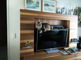 Доминируем