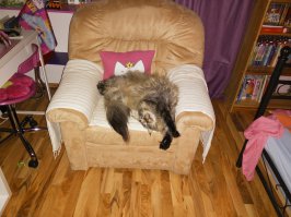 Пора вызывать Экзорциста!