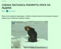 Сумасшедшие и необычные российские новости за прошедшую неделю