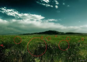 Опубликовано фото доказательства вторжения Российских войск на Украину.   
На фото вы можете наблюдать группу Российских снайперов.