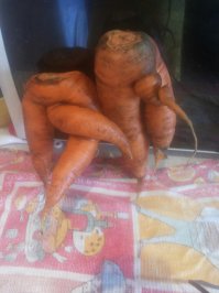 Фотоподборка за 28.09.2015