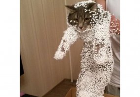 На кого похожа ))