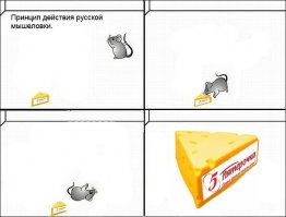 Один в лесу: 5 лучших ловушек для выживания