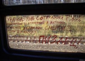 Философские надписи на стенах, которым место в учебниках