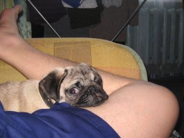 Я скучаю по тебе каждую минуту