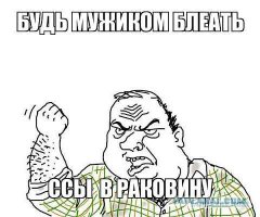 Интересные факты в картинках