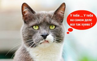 Всё, что вы думаете о своей работе, но никогда не скажете вслух
