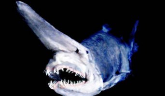 НАСА доказало наличие на Марсе текущих рек