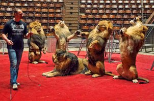 !ЗВЕРИ УЕХАЛИ ОТ СЮДА НАХ!" Дело не в калаше а во фразе и интонации, как у дрессировщика.