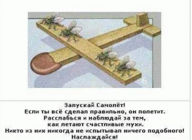 да уж... никто и никогда из них не испытывал ничего подобного - это точно.
Главное, малышу котят не давать позже, а то захочет посмотреть, как они на воздушном шарике с 5го этажа "ничего подобного и никогда не испытывали"