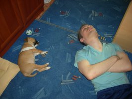 Породистые собаки: 100 лет назад и сейчас