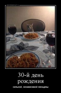 та же мысль возникла...
хотя, а кто-то же их фоткал? может кот?