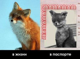 Дальше будет круче :)