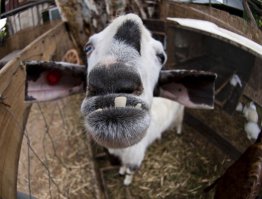 Фотоподборка за 29.09.2015