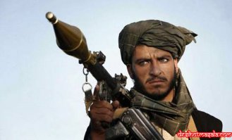 От микроба "талибан" часто и аквариума недостаточно.