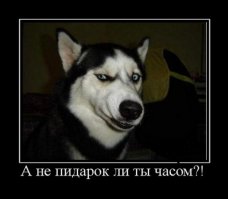 Превращения в знаменитостей 