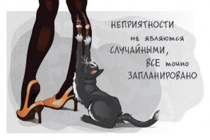 Почему кошки так обожают "месить тесто"?