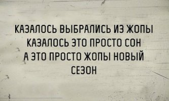 Стишки-пирожки, в которых нет ни грамма политики