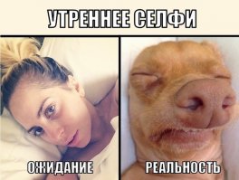 Ожидание и реальность