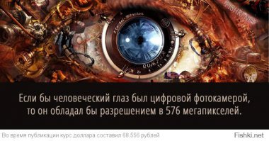 У глаз хорошее разрешение только в маленькой центральной бласти поля зрения. Все остальное - практически никакое.
Примерно так:
(первая картинка - объект, вторая - как его видит глаз и то, упрощено, поскольку там должна быть еще черная дырка в изображении)