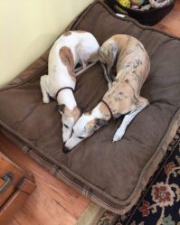 Фотоподборка за 30.09.2015