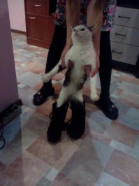 Я скучаю по тебе каждую минуту