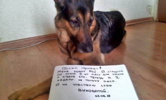 а это моя чуша)))