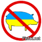 Емельяненко берет опеку над детдомом