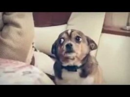 Поймали с поличным