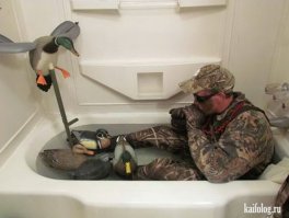 Фотоподборка за 30.09.2015