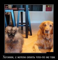 Поймали с поличным