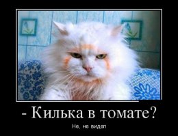Поймали с поличным
